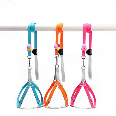 Colorful Fluffy Ball Pet Traction Rope Small and Medium-sized Dog Chest Harness Dog Walking Rope