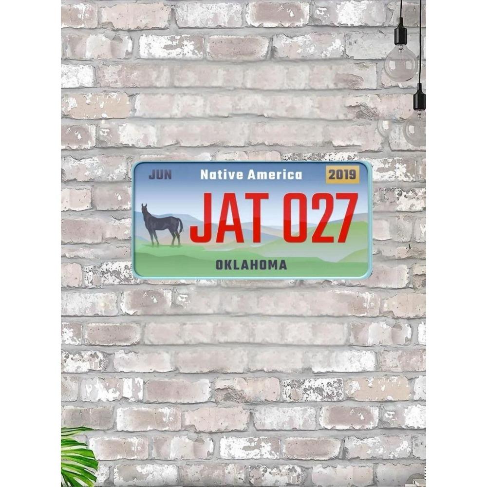 NÁS. registrační značka, USA. SPZ, kovová, 15x30 cm.