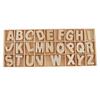 156 Pieces Craft Wood Letters Natural Wooden Alphabet with Storage Tray