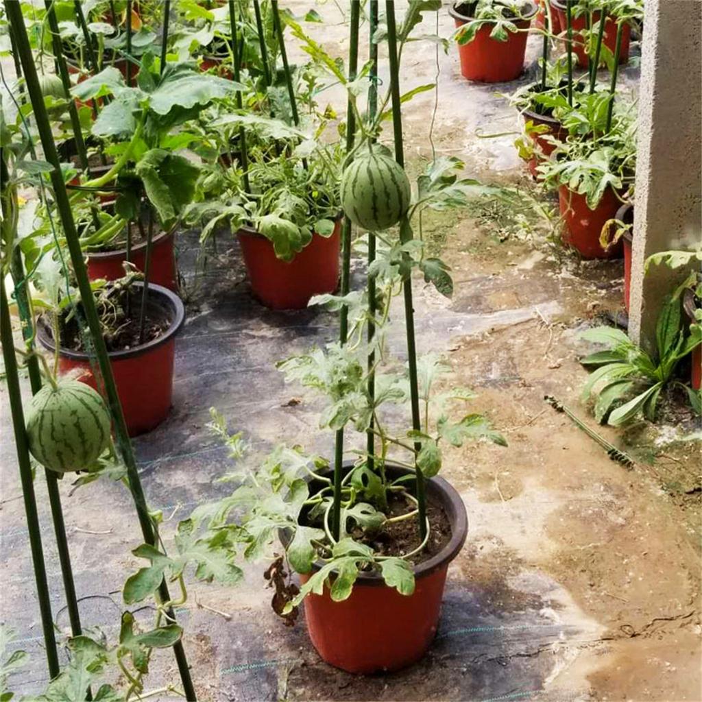 Garden Trellis Shelf Flower Tower Support Rack Plug-in Frame Rose Vine Tomato Climbing Trainer Plant Vegetable Growing Stander