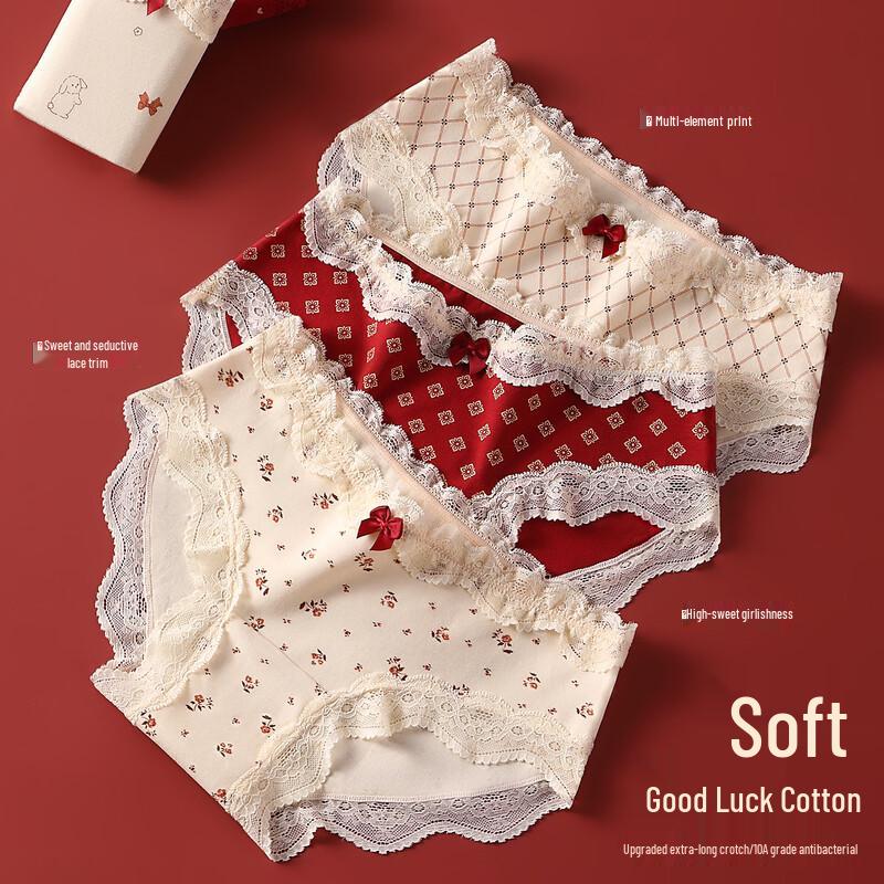 Yuzhaolin Women's Lucky Red Briefs 5-Pack