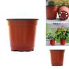 Und Leichtgewicht 10/50/100 Stück Zweifarbiger Kunststoff-Pflanztopf für Setzlinge**