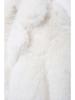 Autumn 2024 Women's European & American Faux Fur Coat - Simple, Stylish & Versatile