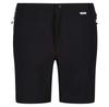 Regatta Mountain II Shorts
