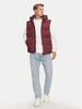 Зимняя куртка Tommy Hilfiger Essential Down Vest (DM0DM20465) глубокий румяный
