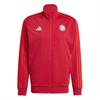 adidas Mens 2024/2025 FC Bayern Munich Recycled Polyester Track Top