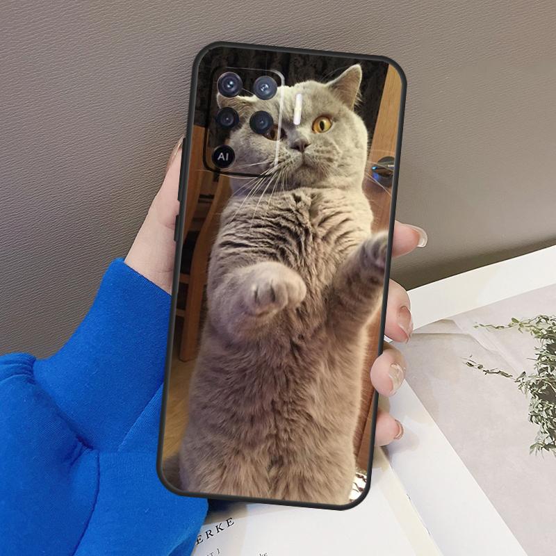 British Shorthair Cat Case For Oppo A78 A38 A18 A98 A58 A60 A80 A40 A96 A76 A16 A94 A74 A54 A15 A17 A57 A77 A5 Pro