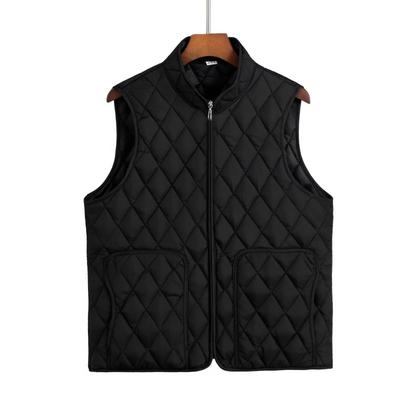 Thin and Light New Autumn and Winter, Zipper Vest, Down Cotton Clothes, Solid Color Fashionable Warm Vest, Versatile and Cold-proof Hanger