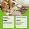 Köpek – Köpek bakım ürünleri
