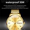 JINSHIDUN New Business and Leisure Men's Watch Mechanical Watch Diamond Double Calendar High-end Watch