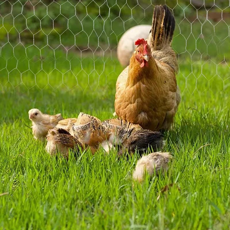 1 Roll Sturdy Iron Garden Fence Chicken Wire Net Flower Arrangement Wire Netting For Floral Mesh Craft Netting