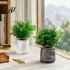 Decorative Aesthetic Flower Pots Self‑Watering Planter Pot Thick Transparent Embossed Desktop Vessels Indoor for Hydroponic Houseplants Succulents