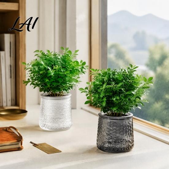 Decorative Aesthetic Flower Pots Self‑Watering Planter Pot Thick Transparent Embossed Desktop Vessels Indoor for Hydroponic Houseplants Succulents