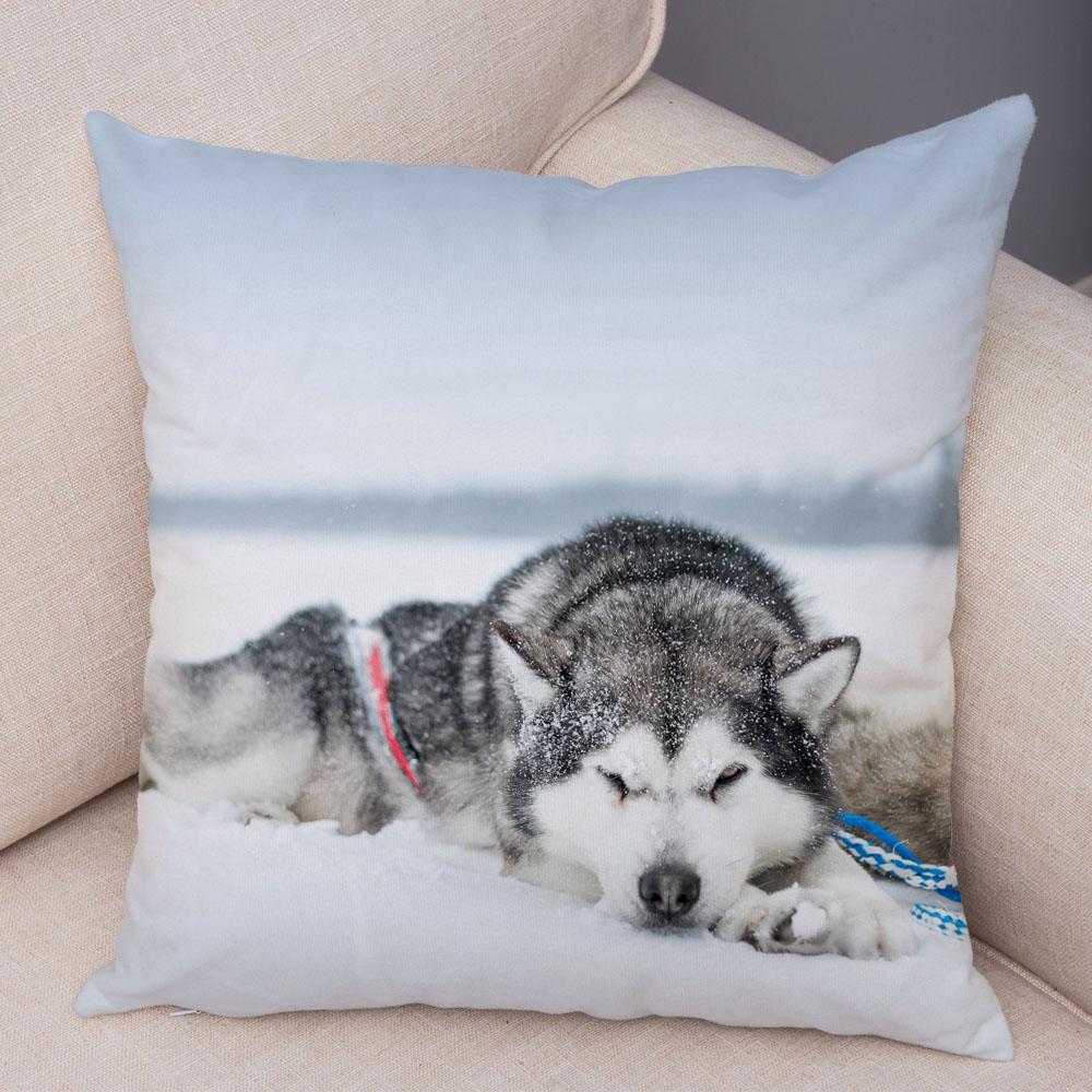 Pet Animal Sofa Cushion Cover Cute Siberian Husky Pillowcase Decorative Dog Print