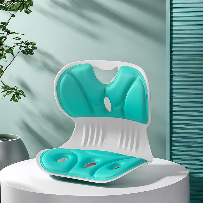 

WEZHO Lumbar Support Office Chair Cushion