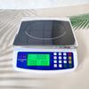 High Precision Commercial Food Scale 30kg/1g Capacity Electronic Pricing Scale  Coins Counting