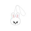 Stray Kids World Tour RUN IT JAPAN OFFICIAL GOODS MD PRE-ORDER