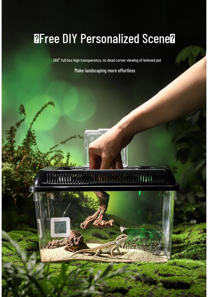Clear Plastic Fish Tank with Sunning Platform - Available in Large, Medium, Small; Perfect for Goldfish or Turtles.