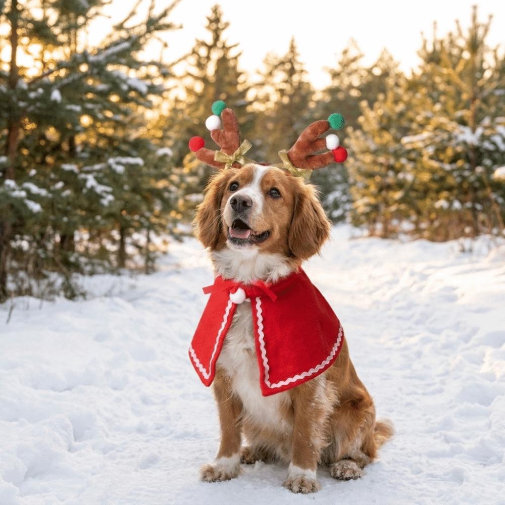 2PCS/Set Warm Christmas Pet Antler Cape Set Lightweight Dog Christmas Costume  Small Dogs Cats