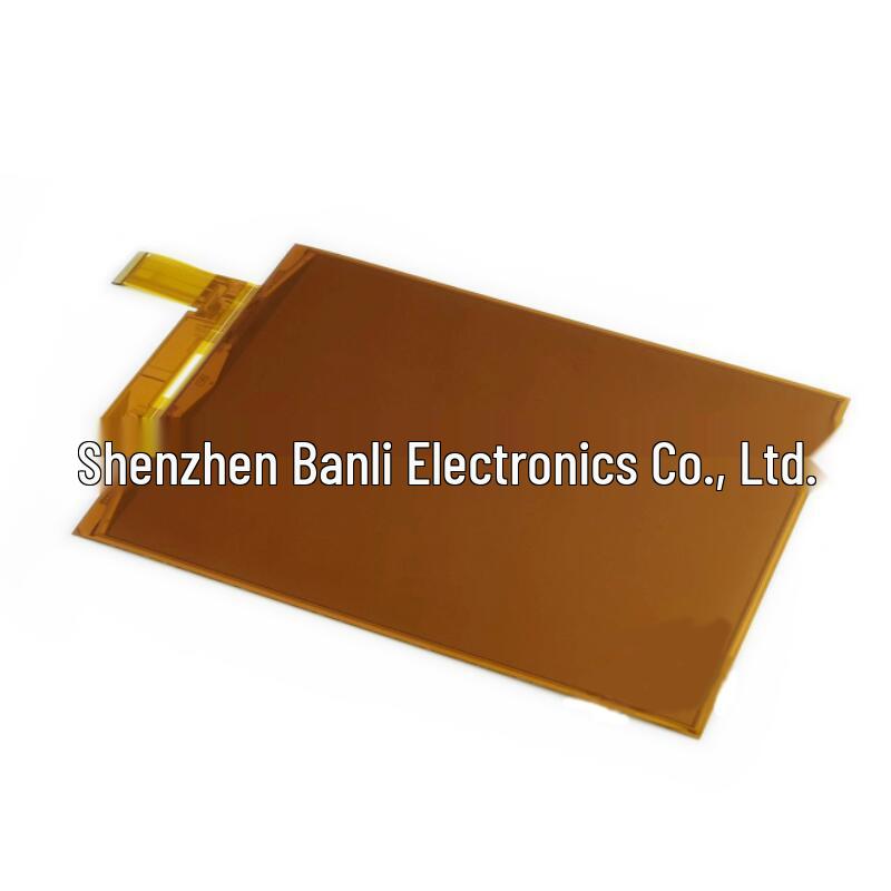 10.3" Flexible Ink Display - Durable Bendable Black & White Screen