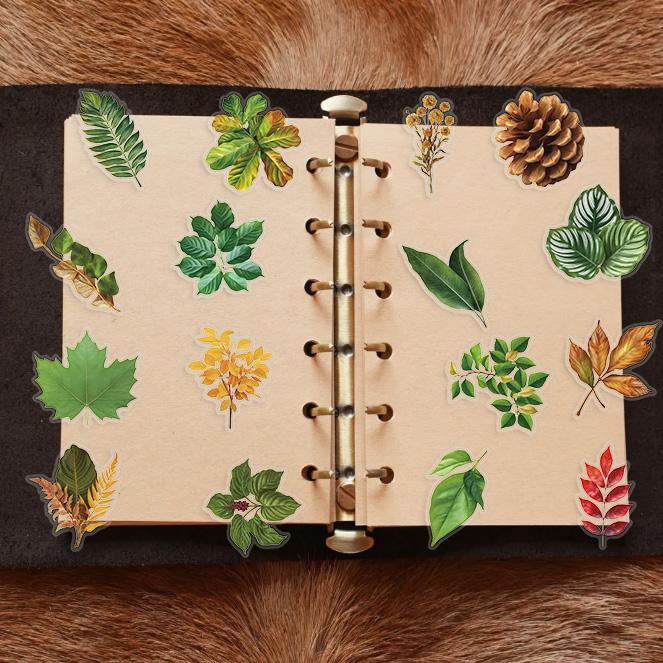 50Pcs Plant Leaves Graffiti Stickers Aesthetic DIY Luggage Bike Phone Computer New Year Gift Decoration PET Sticker