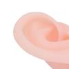 1 Pair Silicone Simulated Ear Model Flexible Soft Ear Model for Hospital Display Learning