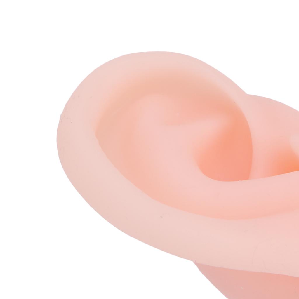 1 Pair Silicone Simulated Ear Model Flexible Soft Ear Model for Hospital Display Learning