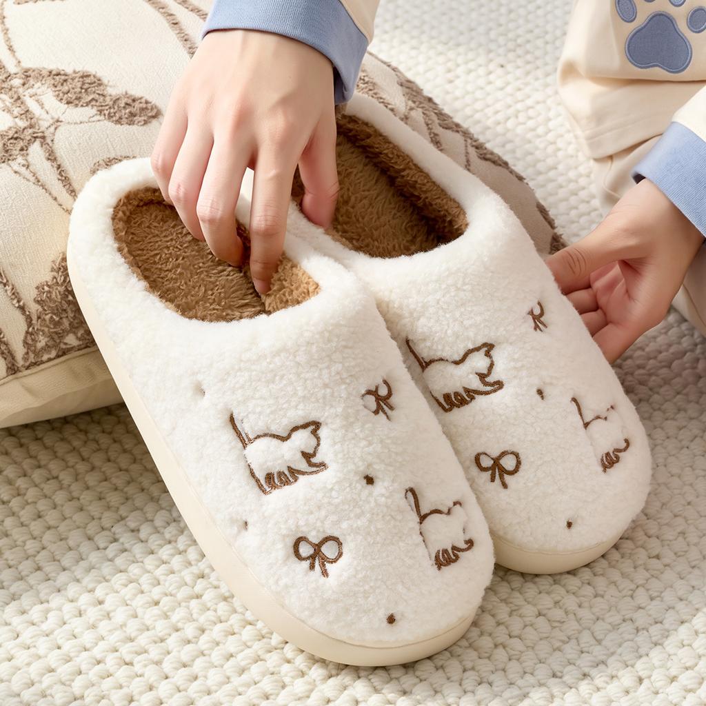 Cute embroidered bag and cotton slippers women's autumn and winter home indoor velvet warm soft bottom non-slip confinement fluff mop