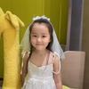 Bow Veil Hair Clip Mesh Bridal Tulle Elegant Girls Head Gauze  Party Cosplay