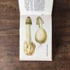 [USED] Foreign books, mushroom encyclopedia, Czech vintage books, junk journal