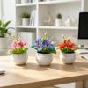 Mini Artificial Jasmine Bonsai Plant With Soft Plastic Leaves For Home Decor And Photography Props