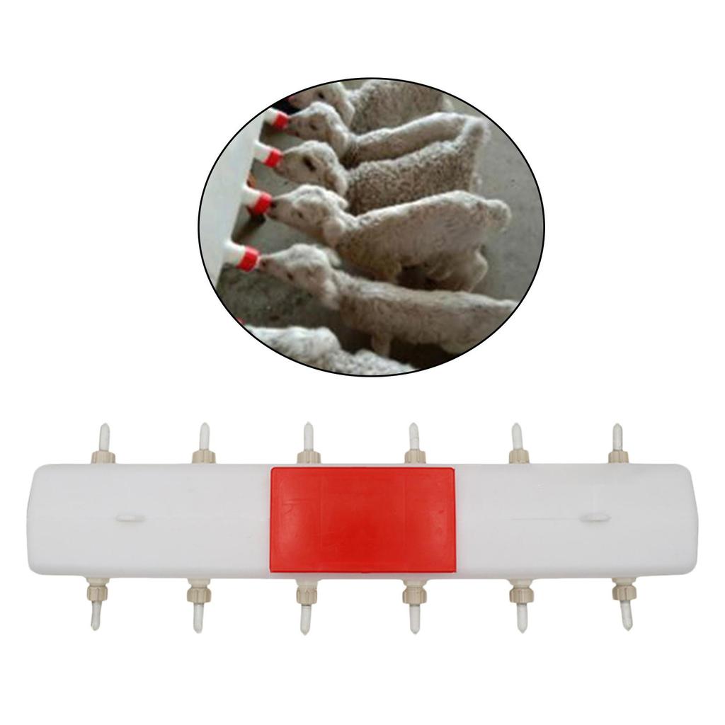 Silicone Nipples Lamb Feeder Puppy Piglet Feeding Device Small Animal Feeding Station for Cattle Sheep Livestock