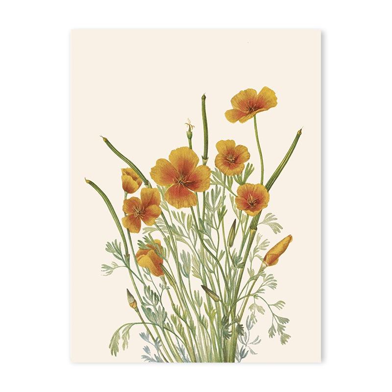 Poster Print Artă de Perete Plantă Florală Vintage Pictură pe Pânză Floare Scandinavă Modernă Estetică Decor Acasă pentru Camera de Zi Nordică