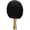 Raquette de tennis de table 4 étoiles DHS F4000
