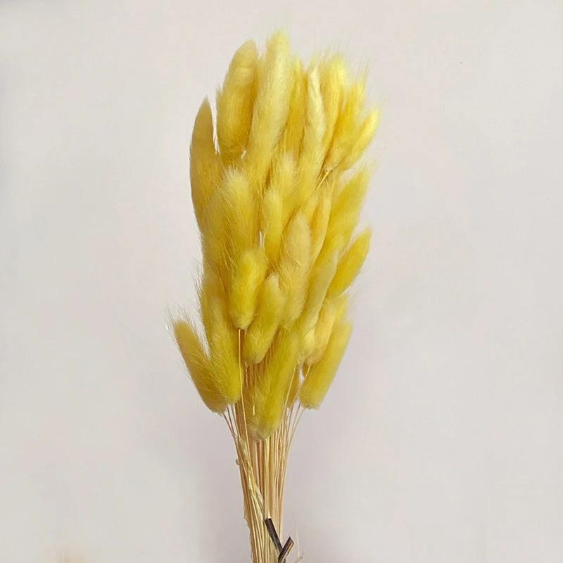 60 Stück Natur Hasenschwanzgras Trockenblumenstrauß Hochzeitsfeier Deko Flauschiges Pampasgras Weihnachten DIY Blumengesteck