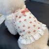 Short Style Puppy Vests Lace Trim Cat Camisole New Princess Dress  Summer Wear