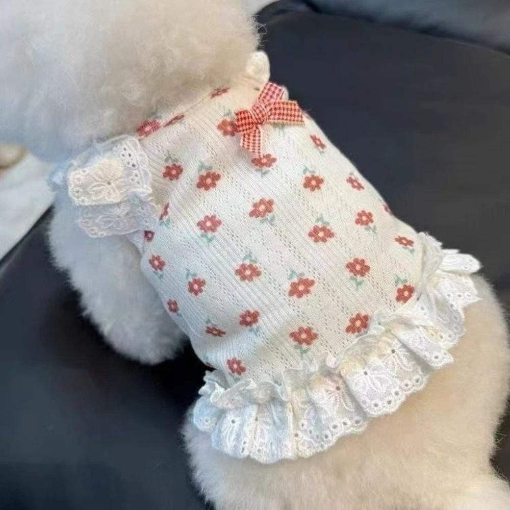 Short Style Puppy Vests Lace Trim Cat Camisole New Princess Dress  Summer Wear