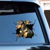 Car Body Sticker Funny Stickers Realistic Exquisite Pattern Simulation Pet Crack Design 3D Trim Effect Decorate Eye-catching Cute Window for