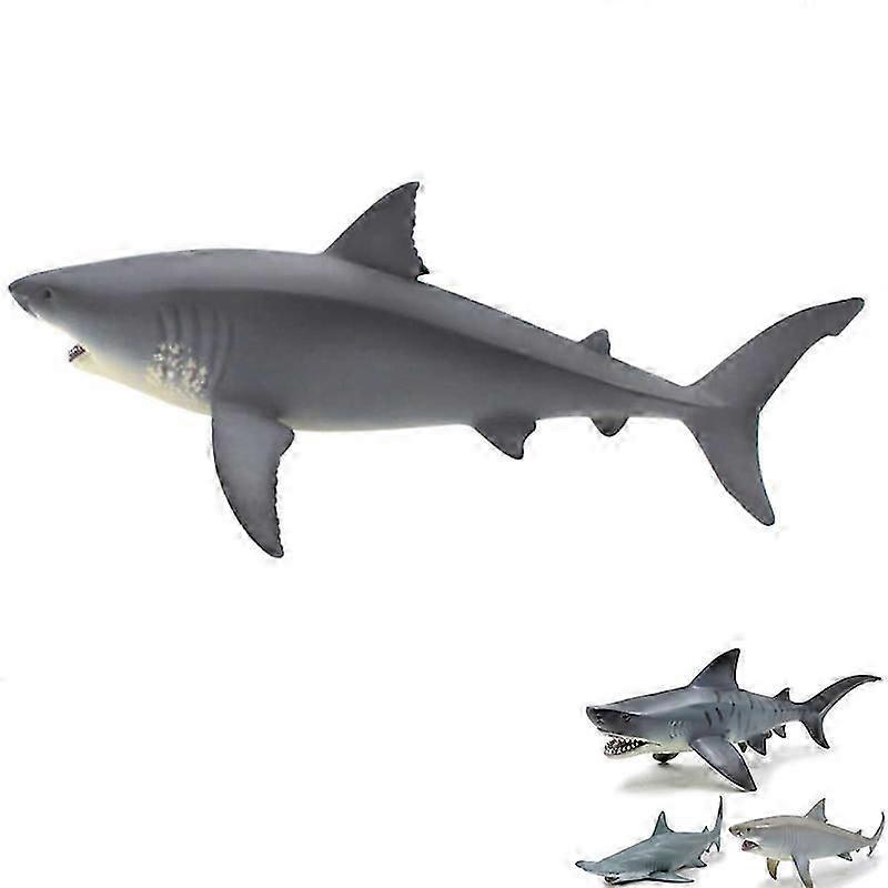 Megalodon Tiger Shark Great White Shark Marine Animal Doll Collection Toy Gift Shark Decoration ModelGreat White Shark