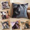 G-Grandmaster of Demonic Cultivation-MT Pillow Case Printing Pillowcase Living Room Sofa Cushion Cover Bedroom Room Decor