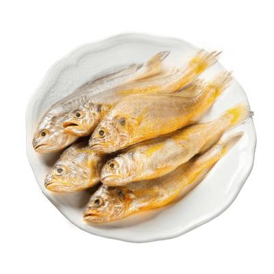 Frozen Gutted Small Yellow Croaker