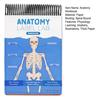 Anatomie Popisky Laboratorní Pracovní sešit 100+ Ilustrací Lidské Anatomie Pracovní sešit pro Učení Fyziologie pro Studenty Medicíny Lékaře Zdravotní Sestry