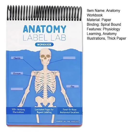 Anatomie Popisky Laboratorní Pracovní sešit 100+ Ilustrací Lidské Anatomie Pracovní sešit pro Učení Fyziologie pro Studenty Medicíny Lékaře Zdravotní Sestry