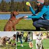 Dog Chew Squeaky Toy Ball Squeaker Chew Ball Toy Latex Indestructible Outdoor Squeak Dog Toys Teething Latex Pet Toys