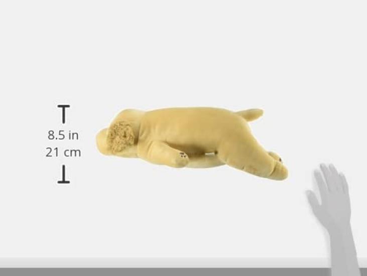 LIV HEART Premium Sleepy Animals Sora the Golden Retriever Body Medium Size 56cm in Fluffy and Squishy Plush Perfect as a Pillow, (Approx. Length),