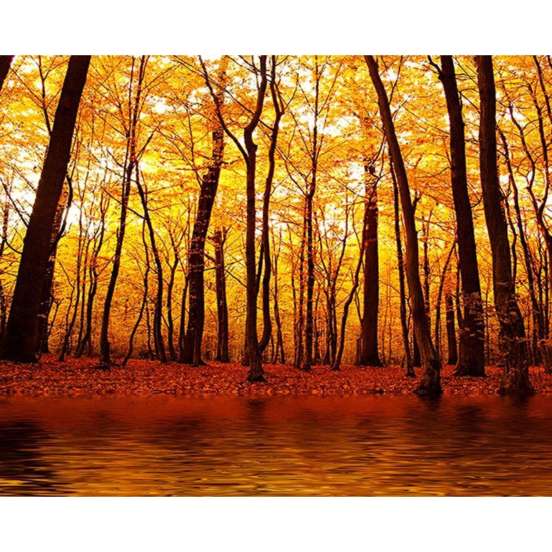 Full Round Diamond Painting Tree Landscape For Adult Kids Embroidery Autumn Scenery Home Decoration Diamond Art Gift