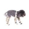Spring and summer dog travel dust pants foot shoes waterproof and anti-dirty slippery small dog walking dog pet dog happy clothes
