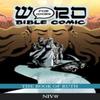 The Book of Ruth Word for Word Bible Comic Paperback Book 9781914299049