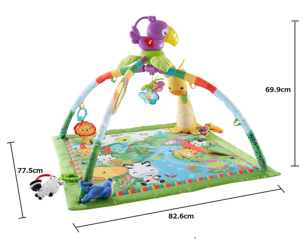 Fisher Price Rainforest Deluxe Gym II Months and DFP08 [0 Up] [Educational Toy] [Cloth Toy]