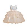 Girls Fashion Embroidery Lace Tulle Dress With Bow Princess Party Dress